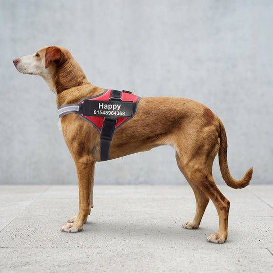 Personalized No Pull Dog Harness – Custom Reflective Adjustable Pet Vest for Small, Medium & Large Dogs | Breathable Walking Harness